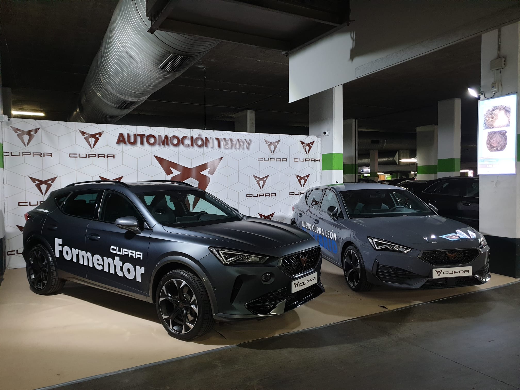Exhibición De Coches